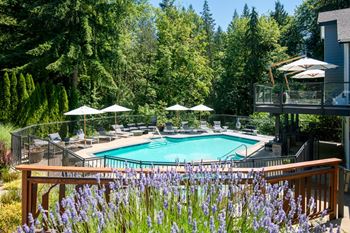 A pool surrounded by trees and purple flowers. at Lakemont Orchard Apartments, Issaquah  98027